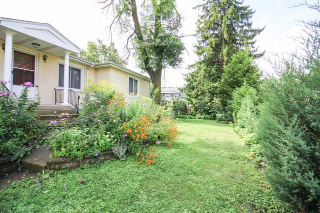 132 E Morrison Ave, Mount Prospect, IL 60056 photo 19