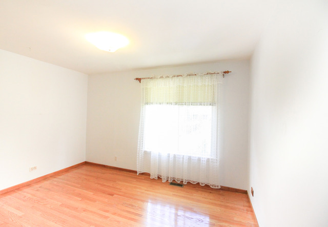 132 E Morrison Ave, Mount Prospect, IL 60056 photo 11