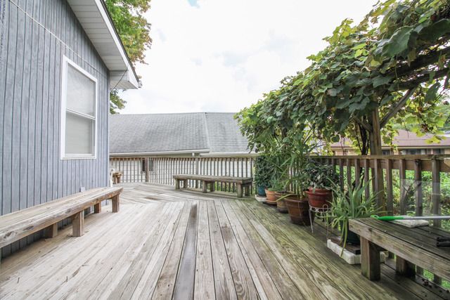132 E Morrison Ave, Mount Prospect, IL 60056 photo 24