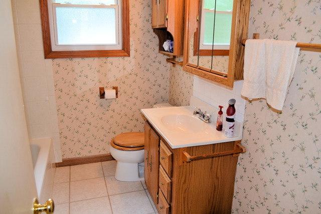 17740 Roy St, Lansing, IL 60438 photo 5