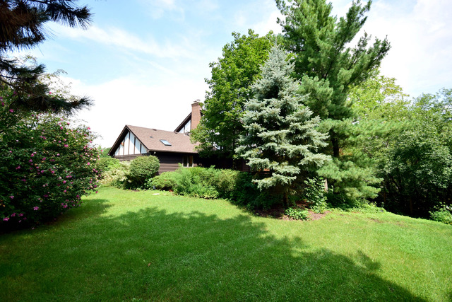 6421 Raleigh Rd, Willowbrook, IL 60527 photo 15