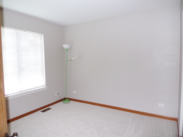 1002 Wilbe St, Plano, IL 60545 photo 19