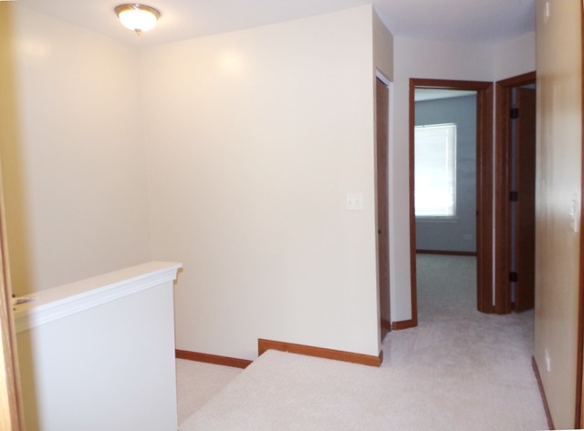 1002 Wilbe St, Plano, IL 60545 photo 14