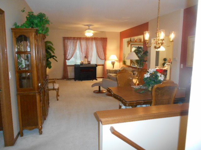 21417 W Juniper Ln, Plainfield, IL 60544 photo 2