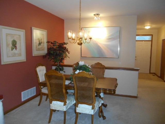 21417 W Juniper Ln, Plainfield, IL 60544 photo 5