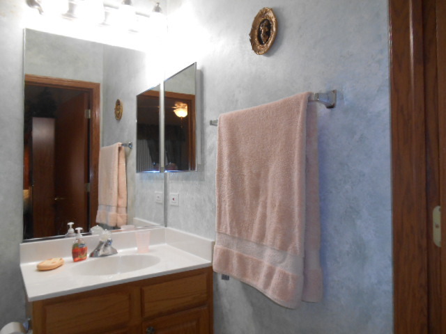 21417 W Juniper Ln, Plainfield, IL 60544 photo 9