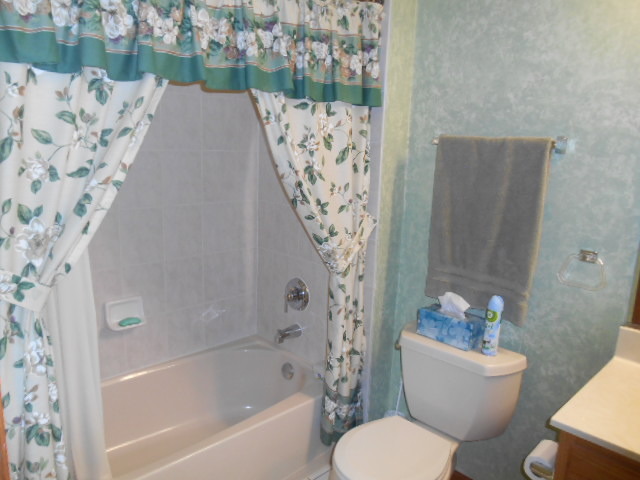 21417 W Juniper Ln, Plainfield, IL 60544 photo 7