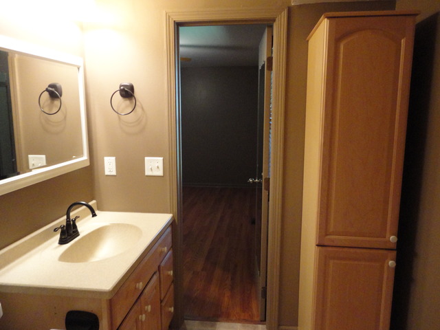 978 W Eureka St, Braidwood, IL 60408 photo 25