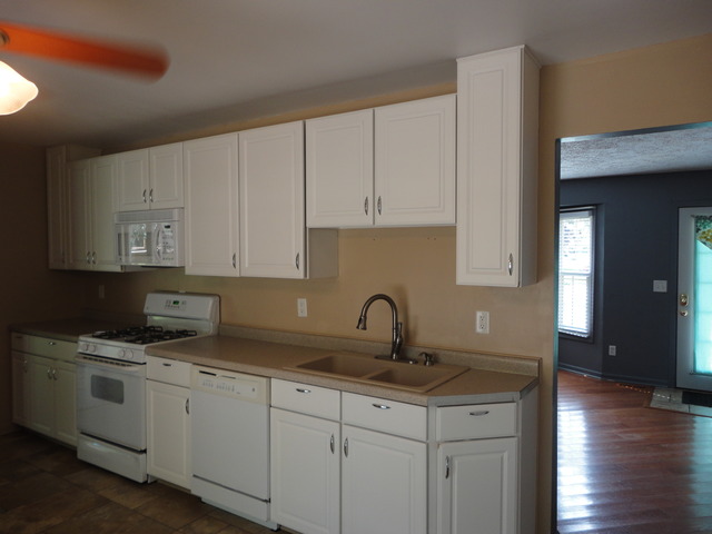 978 W Eureka St, Braidwood, IL 60408 photo 11