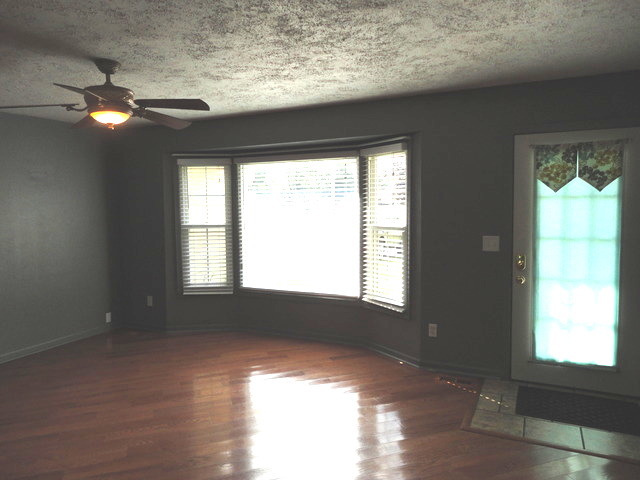 978 W Eureka St, Braidwood, IL 60408 photo 10