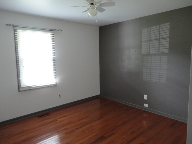 978 W Eureka St, Braidwood, IL 60408 photo 21