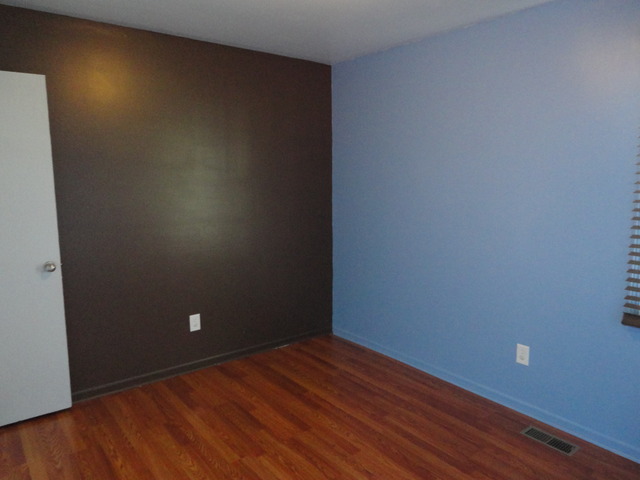 978 W Eureka St, Braidwood, IL 60408 photo 20