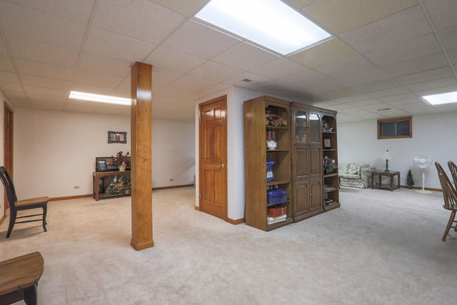 1124 Conan Doyle Rd, Naperville, IL 60564 photo 19
