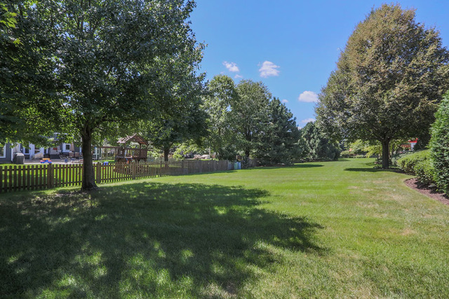 1124 Conan Doyle Rd, Naperville, IL 60564 photo 22