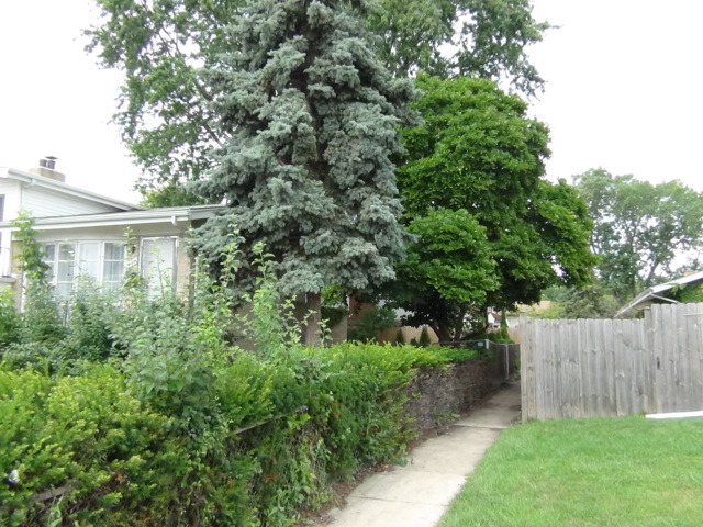 8910 Robin Dr #A, Des Plaines, IL 60016 photo 3
