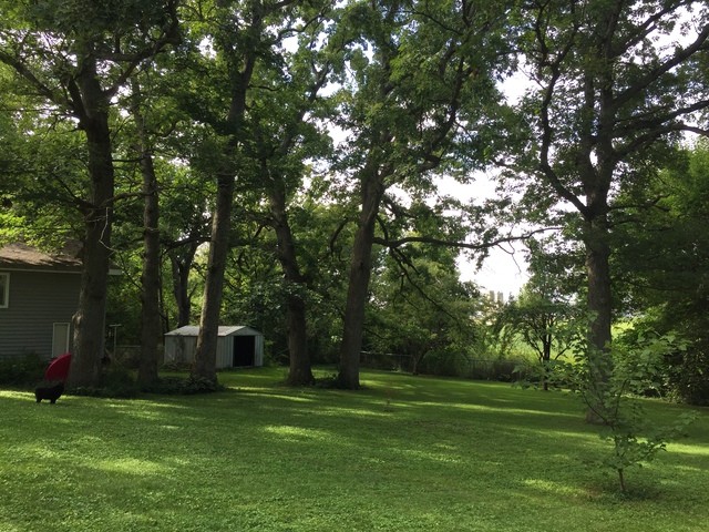 3820 Buchanan Rd, Johnsburg, IL 60051 photo 20