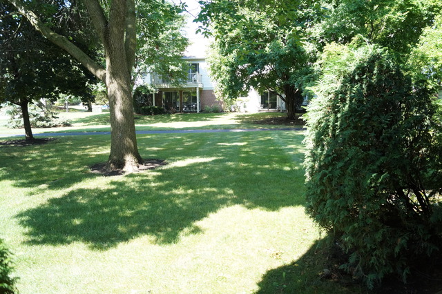 1502 Camden Ct #C1, Wheeling, IL 60090 photo 15
