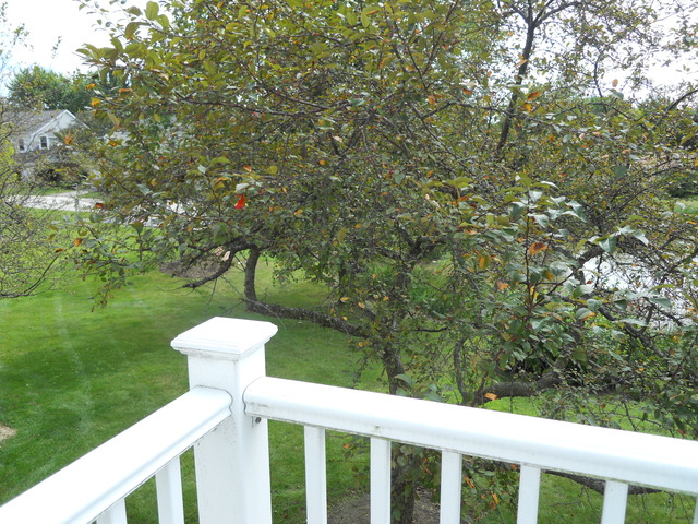 131 E Beech Dr, Schaumburg, IL 60193 photo 8