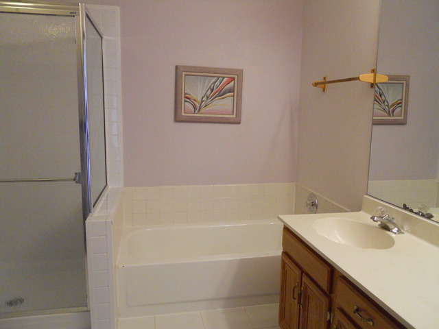 131 E Beech Dr, Schaumburg, IL 60193 photo 15
