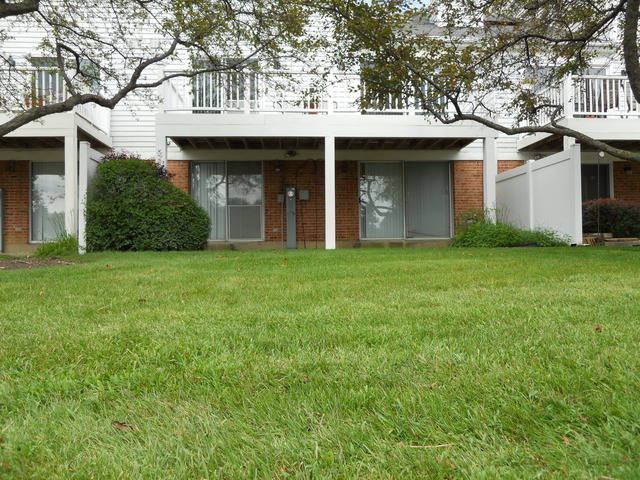 131 E Beech Dr, Schaumburg, IL 60193 photo 10