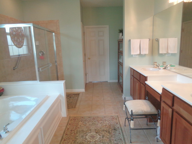 2462 Vista Trl, Elgin, IL 60124 photo 11