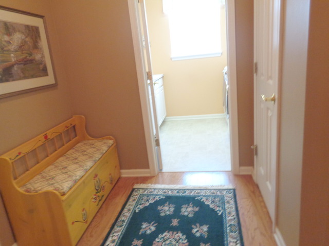 2462 Vista Trl, Elgin, IL 60124 photo 20