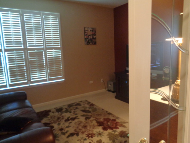 2462 Vista Trl, Elgin, IL 60124 photo 19