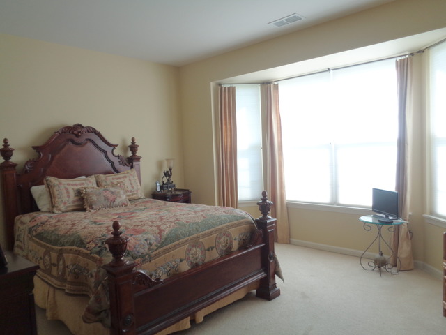 2462 Vista Trl, Elgin, IL 60124 photo 14