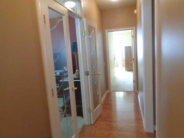 2462 Vista Trl, Elgin, IL 60124 photo 18
