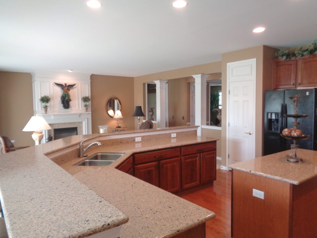 2462 Vista Trl, Elgin, IL 60124 photo 8