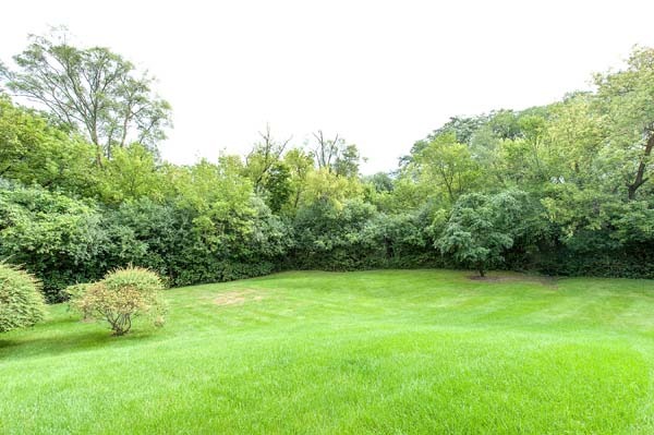 1160 Central Ave, Deerfield, IL 60015 photo 25
