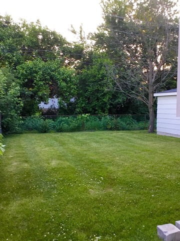 16138 Ashland Ave, Markham, IL 60428 photo 5
