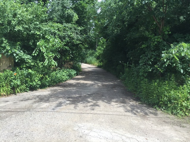 711 Forest Edge Ln, Des Plaines, IL 60016 photo 7