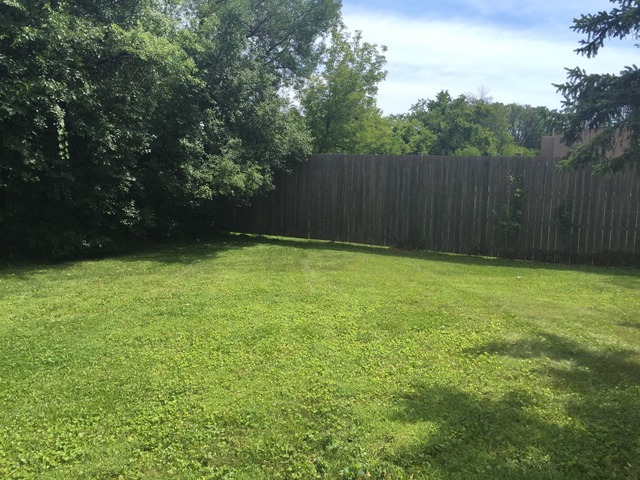 711 Forest Edge Ln, Des Plaines, IL 60016 photo 5