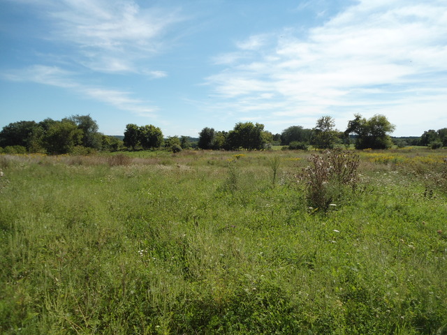 615 W Devils Backbone Rd, Oregon, IL 61061 photo 12