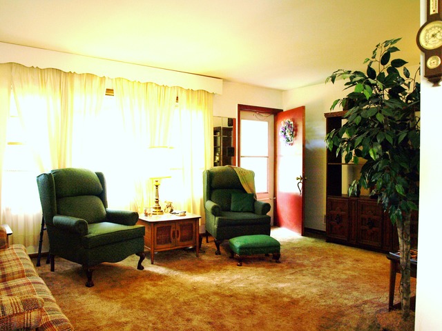 3724 Park Ave, Steger, IL 60475 photo 7