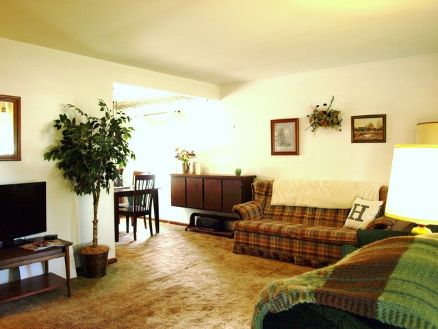 3724 Park Ave, Steger, IL 60475 photo 6