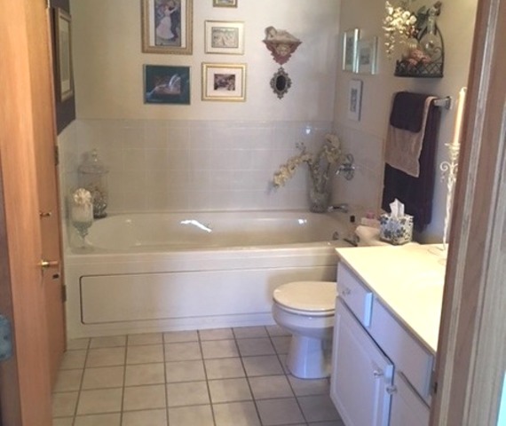 1327 E Washington St #407, Des Plaines, IL 60016 photo 9