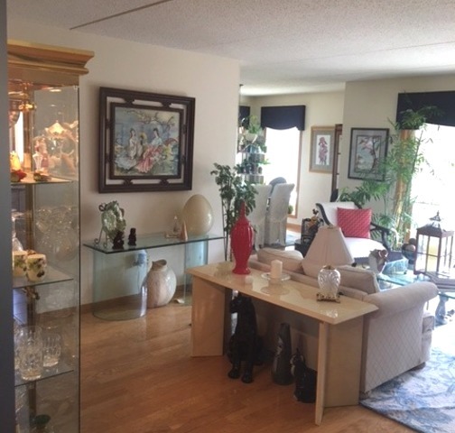 1327 E Washington St #407, Des Plaines, IL 60016 photo 3