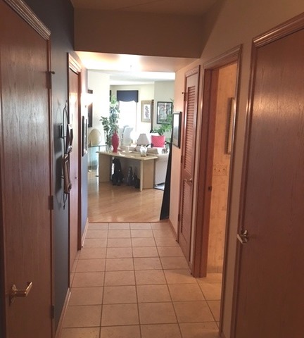 1327 E Washington St #407, Des Plaines, IL 60016 photo 2