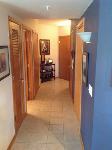 1327 E Washington St #407, Des Plaines, IL 60016 photo 10