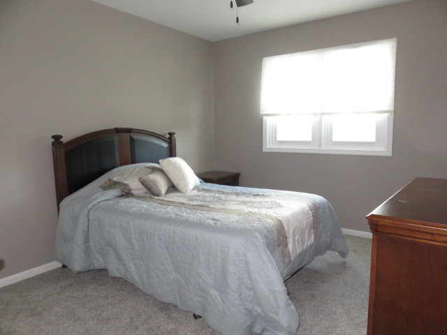 23061 Ridgeway Ave, Richton Park, IL 60471 photo 13