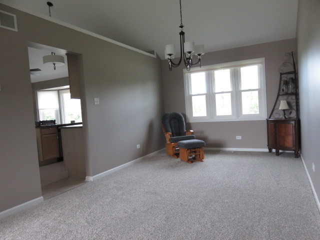 23061 Ridgeway Ave, Richton Park, IL 60471 photo 7