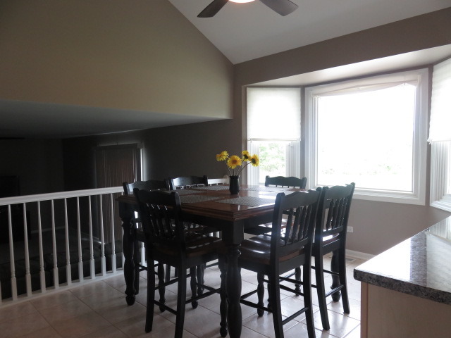 23061 Ridgeway Ave, Richton Park, IL 60471 photo 6