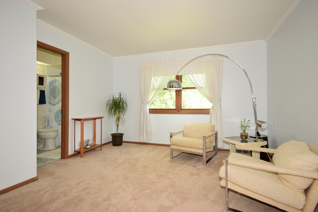 1505 E Lowden Ave, Wheaton, IL 60189 photo 13