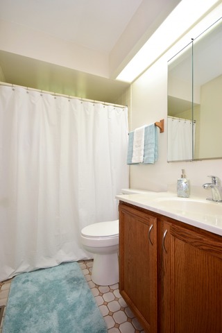 1505 E Lowden Ave, Wheaton, IL 60189 photo 17