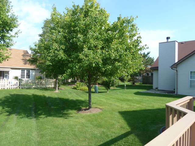 21015 W Hazelnut Ln, Plainfield, IL 60544 photo 21