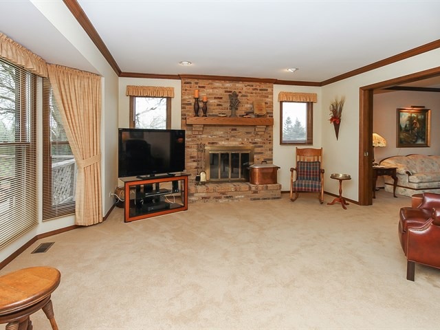 131 Will Scarlett Ln, Elgin, IL 60120 photo 11