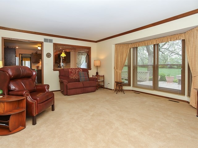 131 Will Scarlett Ln, Elgin, IL 60120 photo 12