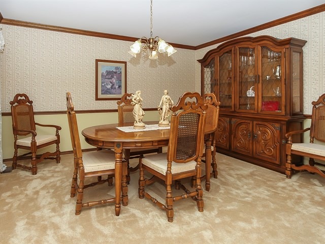 131 Will Scarlett Ln, Elgin, IL 60120 photo 9